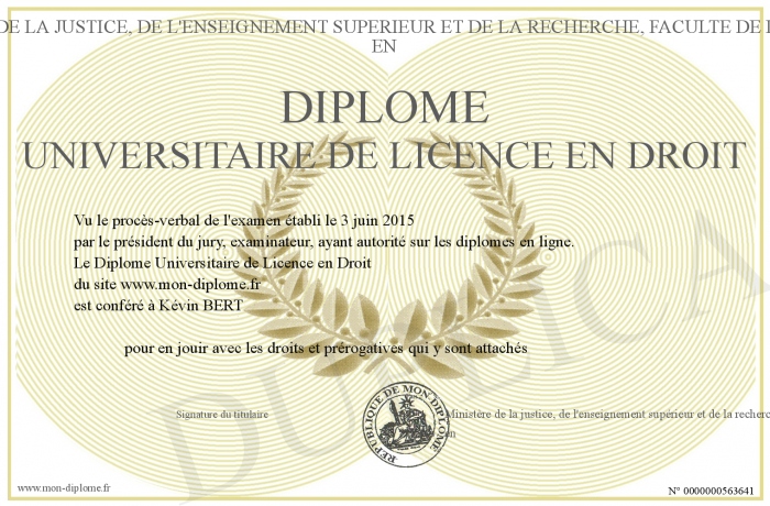 diplome universitaire licence
